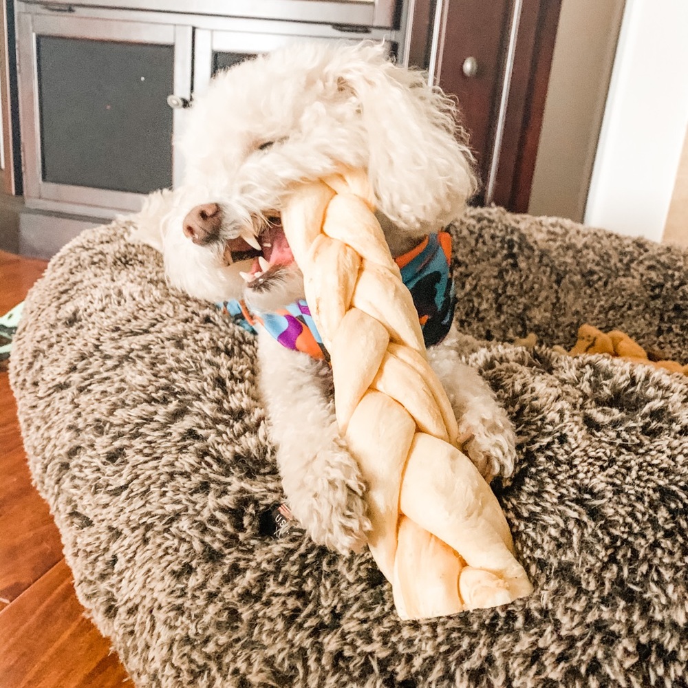 Meet your Posher, Jessica w